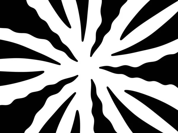 Черный Белый Звездообразования Санберст Фоне — стоковое фото