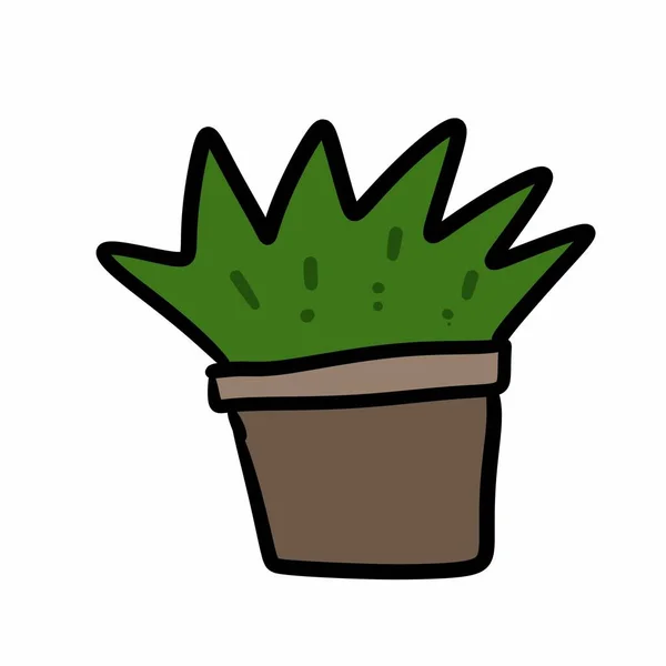 Rajzfilm Doodle Egy Kaktusz — Stock Fotó
