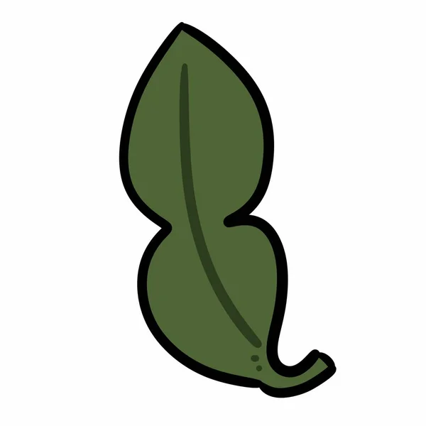 Kaffir Lime Leaf Cartoon White Background — Stock Photo, Image