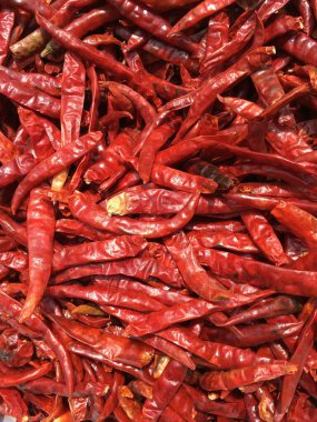 biber biber yakın çekim 