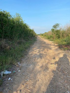 close up road in the forest 