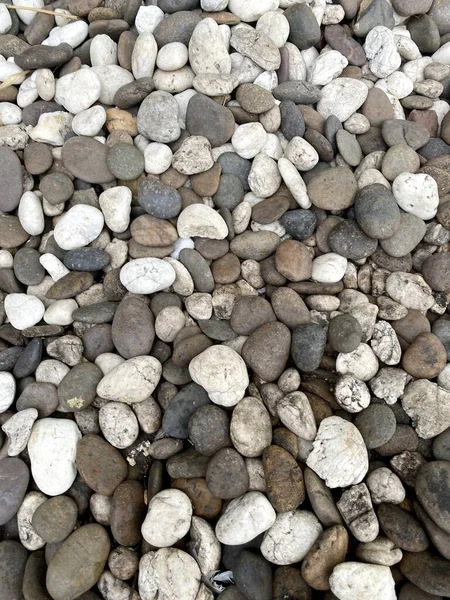 Kamienie Żwirowe Plaży — Zdjęcie stockowe