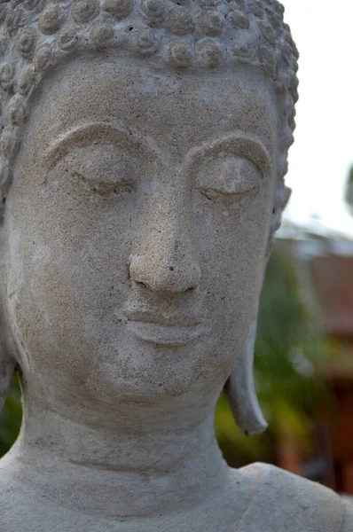 Primo Piano Una Statua Buddha Con Sfondo Sfocato — Foto Stock