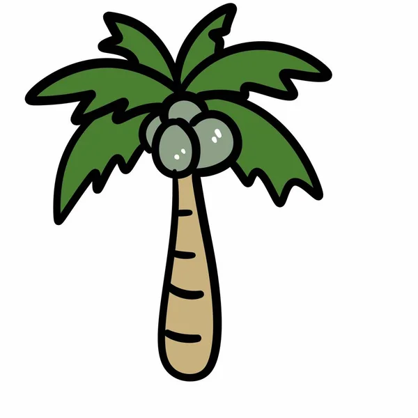 Kunst Cartoon Doodle Einer Kokosnuss — Stockfoto