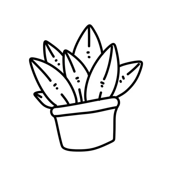 Zamatos Növény Ikon Illusztráció Tervezés — Stock Fotó