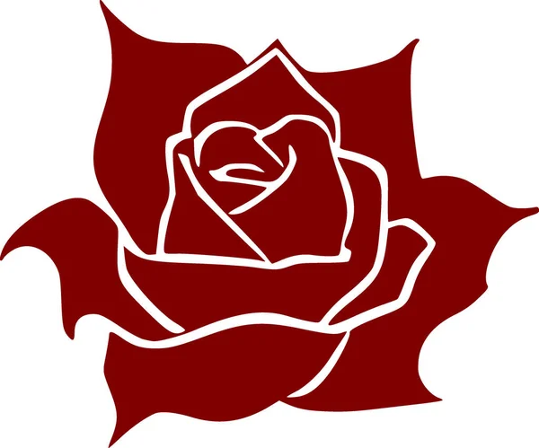 白色背景的红玫瑰的图解 — 图库照片