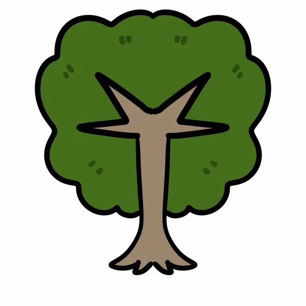 Träd Skog Ikon Färg Kontur Vit Bakgrund — Stockfoto