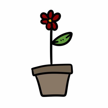 beyaz arkaplanda saksıda çiçek saksısı