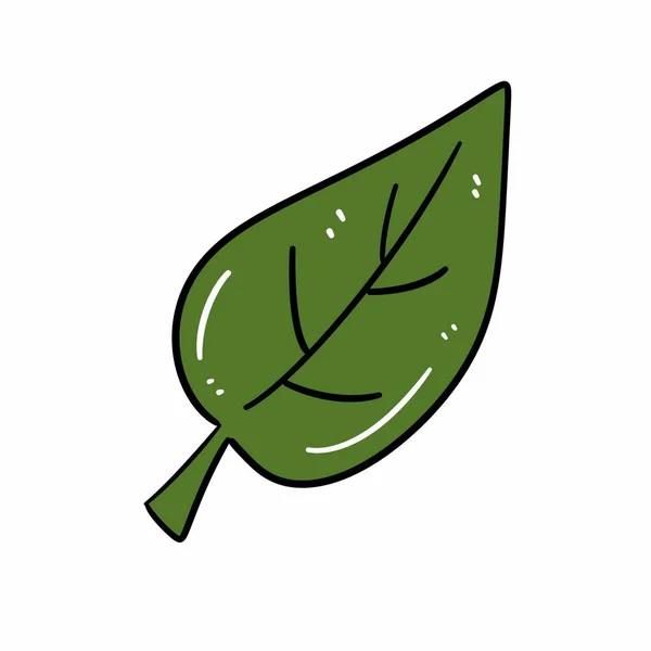 Desenho Animado Doodle Folha Verde Fundo Branco — Fotografia de Stock