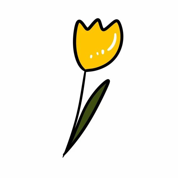 Doodle Flower Tulip Hand Drawn Illustration Doodle Style Isolated White — Stock Photo, Image