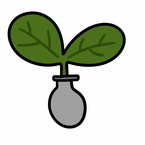 Πράσινο Φυτό Γλάστρα Εικονογράφηση Λευκό Φόντο — Φωτογραφία Αρχείου
