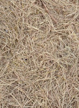 Doku ve arkaplan için kuru ot, kuru saman