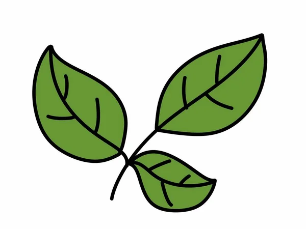Иконка Листьев Растения Белом Фоне — стоковое фото