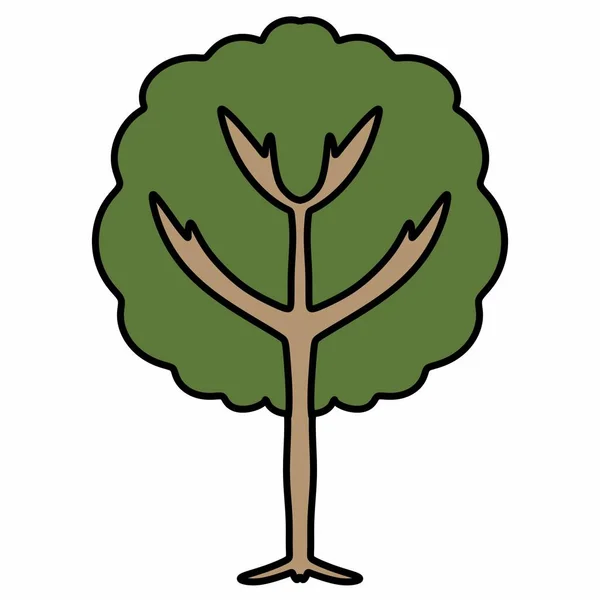 Träd Med Lövverk Vit Bakgrund Illustration — Stockfoto