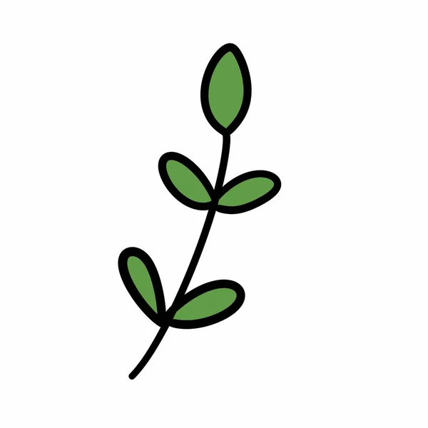 Εικονίδιο Του Φυτού Που Απομονώνεται Λευκό Φόντο Φυτό Διαφανές Σήμα — Φωτογραφία Αρχείου