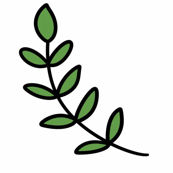 Иконка Растения Выделенная Белом Фоне Прозрачный Знак Растения Линейные Линейные — стоковое фото