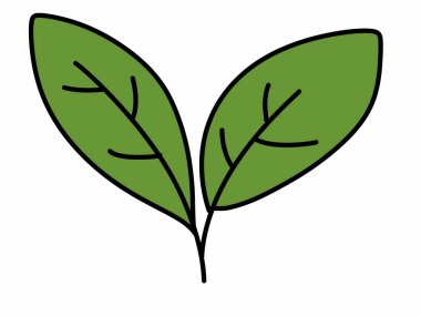 Yaprak. Web simgesi basit illüstrasyon