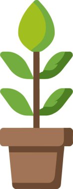 demlikte bitki, illüstrasyon, beyaz arkaplanda