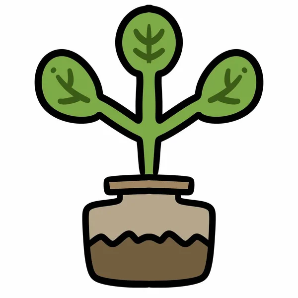 Pflanze Topf Abbildung Oder Symbol Auf Weißem Hintergrund — Stockfoto