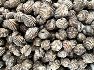 Yemek pişirmek için midyeyi kapat.