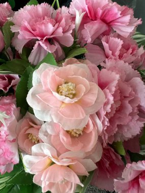 Bahçedeki güzel çiçekler