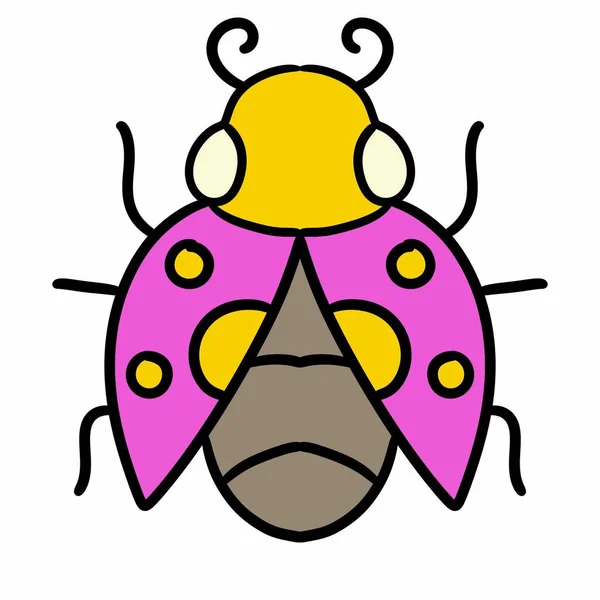 Nyckelpiga Insekt Ikon Färg Kontur — Stockfoto