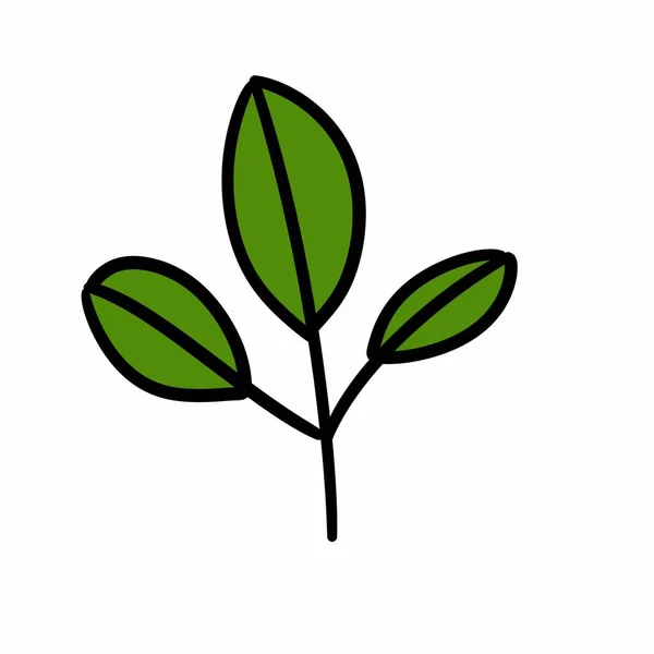 나뭇잎 식물의 고립된 아이콘 — 스톡 사진