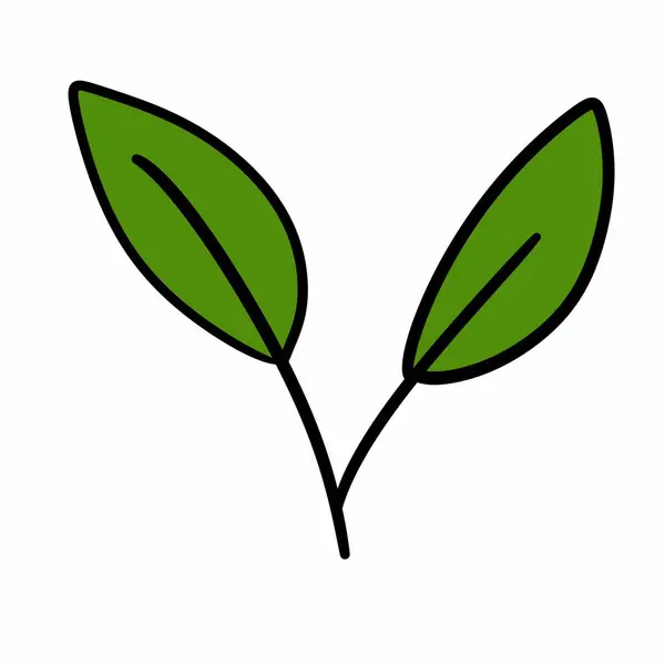 Isolierte Blattpflanzengestaltung — Stockfoto