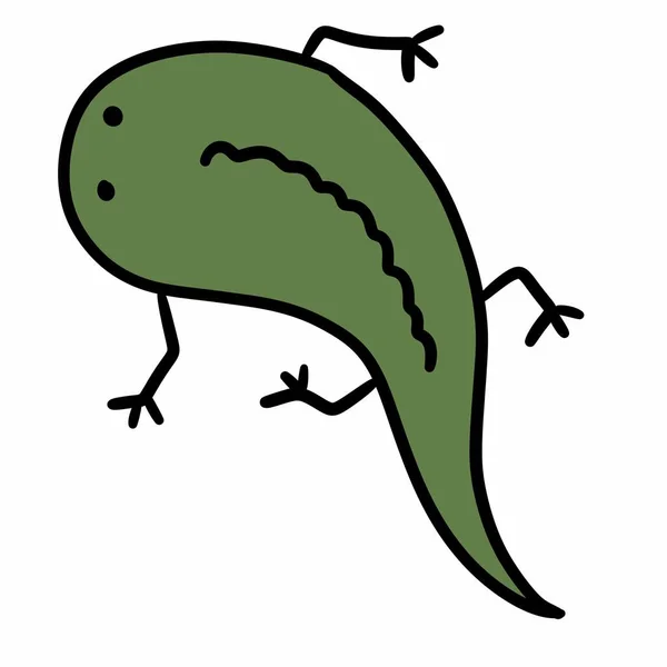 Chameleon Kreslený Bílém Pozadí — Stock fotografie