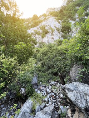 Dağların güzel manzarası