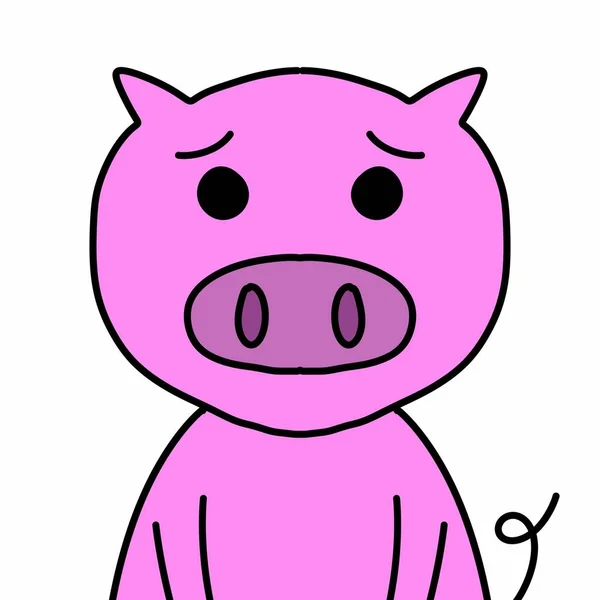 Cute Little Pig White Background — Stock Photo, Image