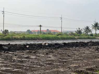 Kırsaldaki kuru pirinç tarlası.