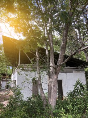 Şehirde terk edilmiş eski bir ev.