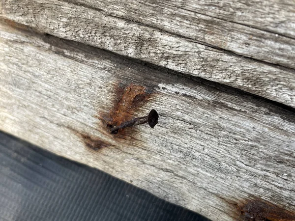 rusty nail in obsolete wood plank