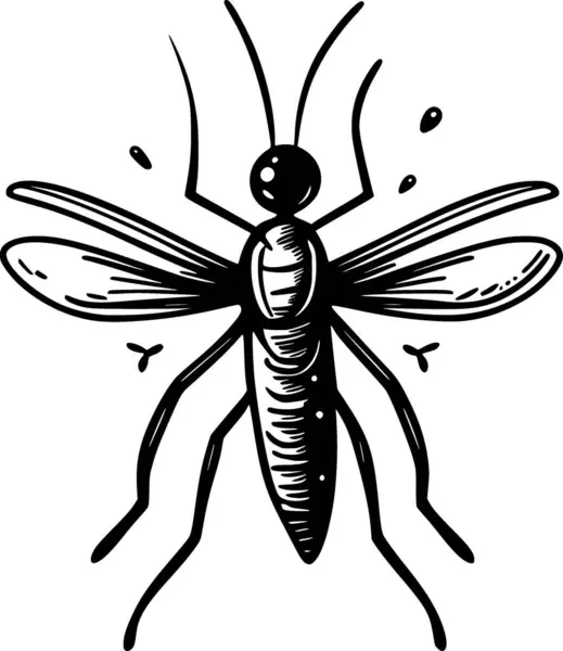 Mygga Insekt Svart Färg Illustration — Stockfoto