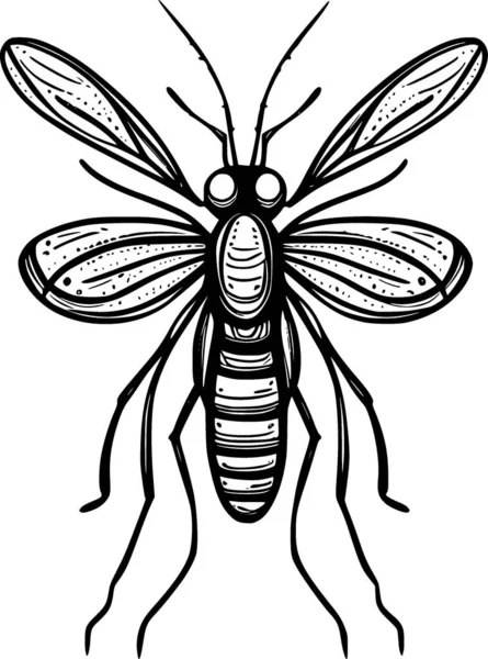 Mug Insect Zwarte Kleur Illustratie — Stockfoto