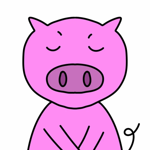 Cute Pig Cartoon White Background — Stock Photo, Image
