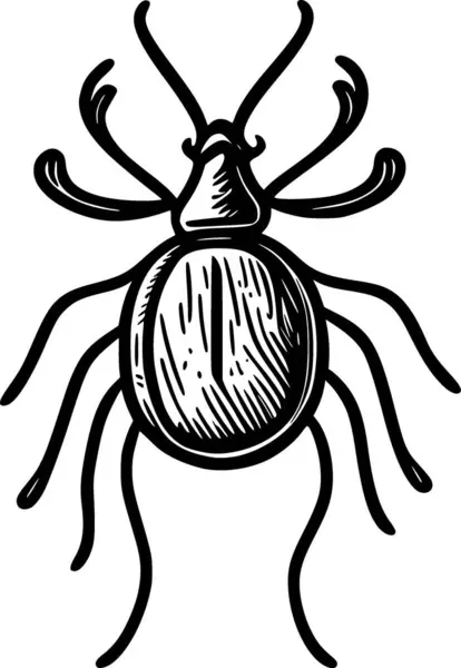 Main Illustration Dessinée Noir Blanc Insecte — Photo