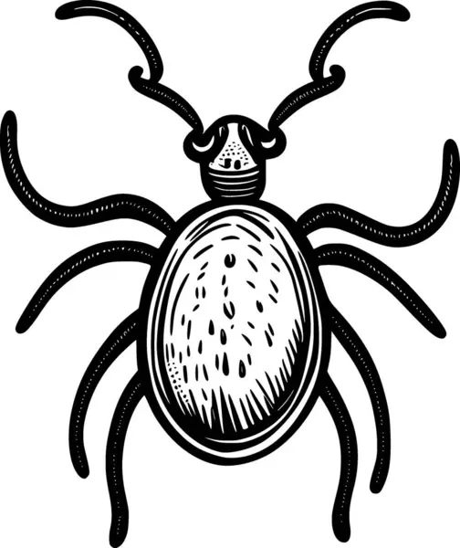 Main Illustration Dessinée Noir Blanc Insecte — Photo