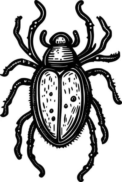 Bir Böceğin Siyah Beyaz Çizimi — Stok fotoğraf