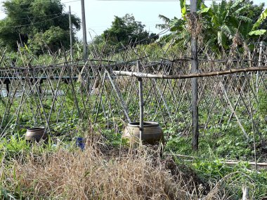 Sebze bahçesindeki eski ahşap çit