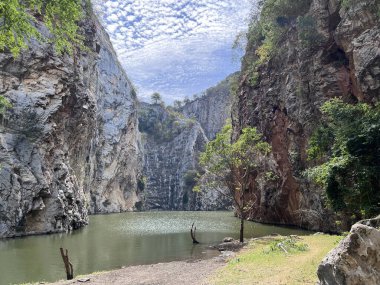 Ormanın ortasında ağaçlar ve kayalar olan bir gölün dikey görüntüsü.