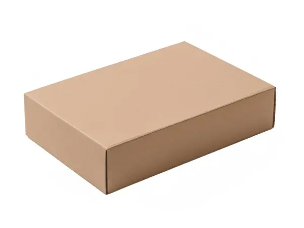 Boîte Carton Isolée Sur Blanc Photo De Stock