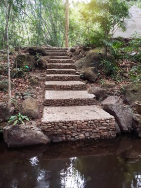 Parktaki taş merdivenler.