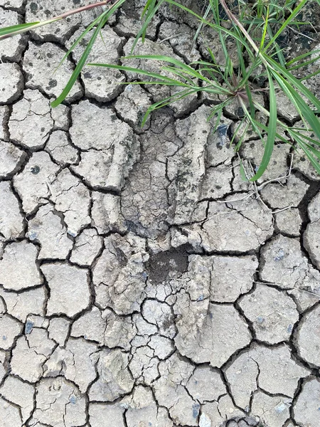 dry earth in the mud with foot print