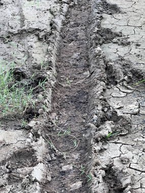 Tarlada çatlamış toprak