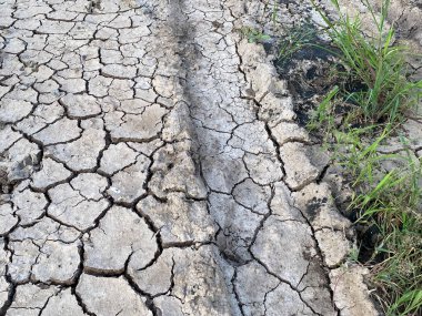 Bahçedeki kuru toprak.