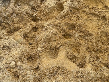 Kum dokusunu, arkaplanı kapat