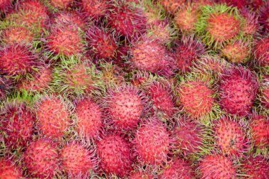 Tayland 'da taze kırmızı rambutan