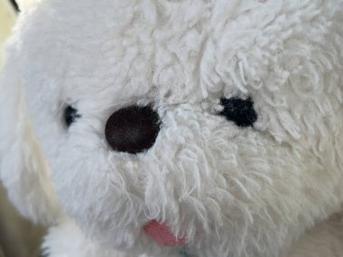 Köpek oyuncağının kafasını kapat.